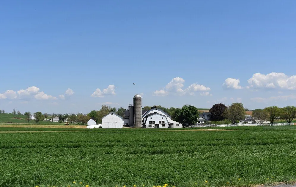 A barn and grain silo seen across a green field under a blue sky