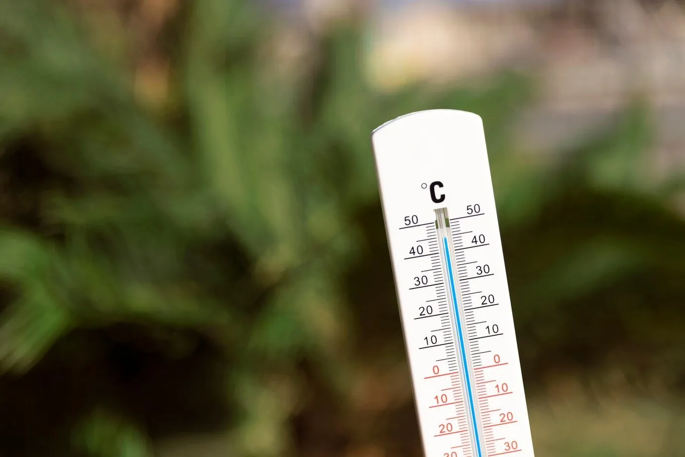An outdoor thermometer showing temperature in Celsius against greenery