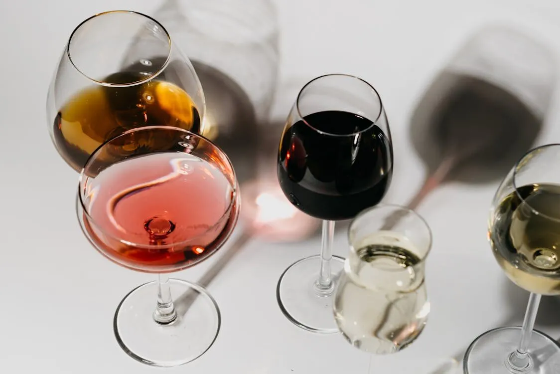 Glasses of red, white and rosé wine arranged for a tasting