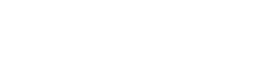 Bonny's Self Storage Logo